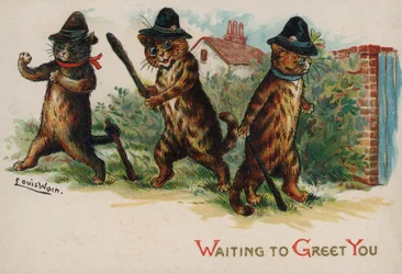 Drei Katzen warten auf dich
